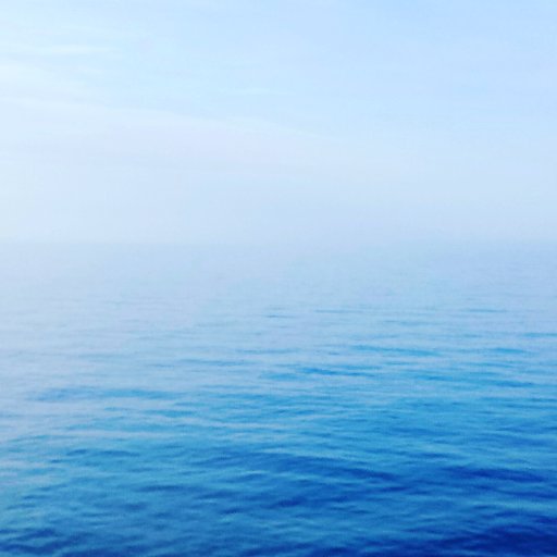 ColoniaLibre's profile picture. #Freedom! #Independence! #Peace! #FreeSpeech! #PowerToThePeople! #RealDemocracy! #Rationalism! #Afuera! Against any kind of socialism and communism! 💙🇺🇸