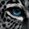 A009_T's profile picture. ‏‏‏سبحان الله وبحمده