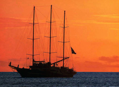 YOUR_TRAVEL_VIP's profile picture. 