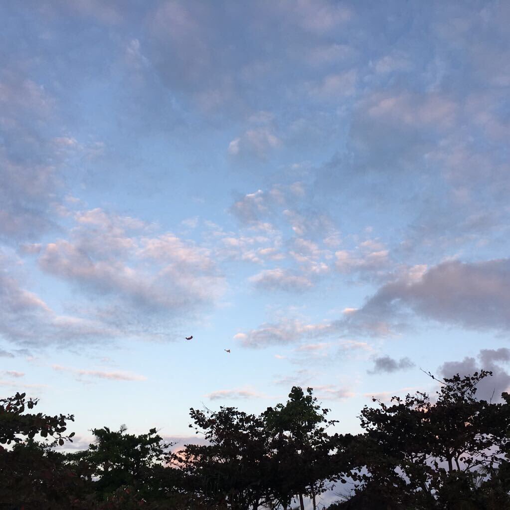 bacesetpaces's profile picture. 