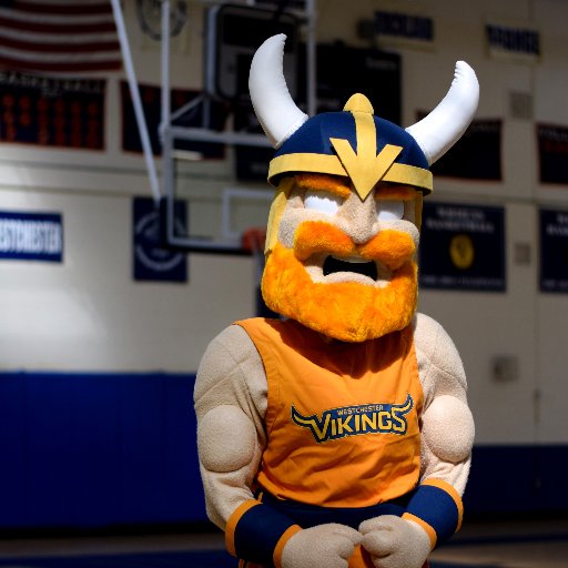 The official mascot of the Westchester Community College Athletic Department! Chester is at many home athletic and campus events!