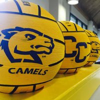 Connecticut College Water Polo (@conncollwp) 's Twitter Profile