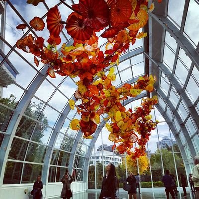 in4margaret's profile picture. Software Engineer. Opinions are my own.