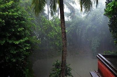 Zakirho94866398's profile picture. News