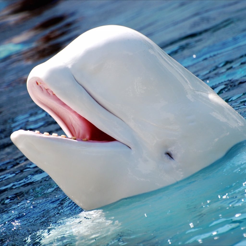 BMP_PLAYS2024's profile picture. We are out here fam about to expose some niggas