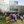 The Hayes Primary (@TheHayesPrimary) profile picture