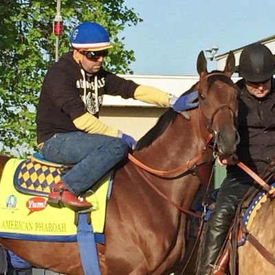 Sports journalist. #HorseRacing correspondent covering #TripleCrown since 1997. Part-time beach bum. #Florida