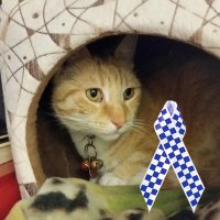 Gail Clifford (@gailclifford7) 's Twitter Profile Photo