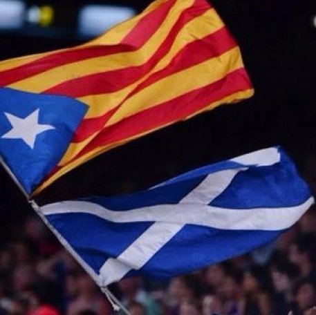 WeeManWiTheFlag's profile picture. “Next time I come here," he said to himself, "I must either bring sweets with me to make them like me or a stick to hit them with.” Franz Kafka, The Trial