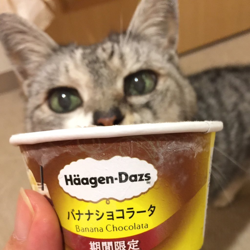 ruri7rain's profile picture. この世界は素晴らしい。穏やかに。