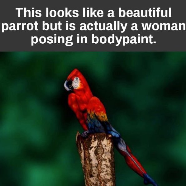 mbd1234567's profile picture. 