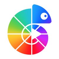Colorgram App(@colorgramapp) 's Twitter Profile Photo