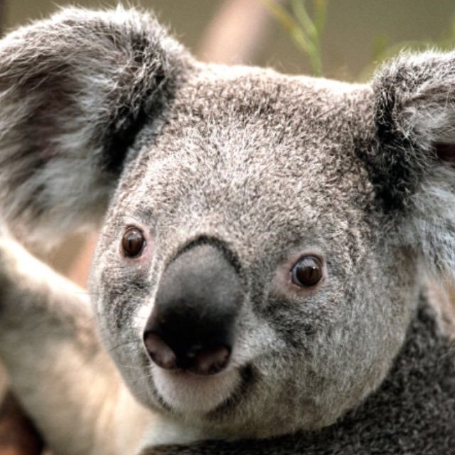 Exploreit1's profile picture. I'm not giving investment advice, do your own DD. grab and share the moments that makes you happy!