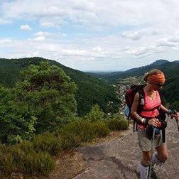 kvscheidt's profile picture. 