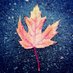 Vadir Lopez Salmeron (@vadirlopezs) Twitter profile photo