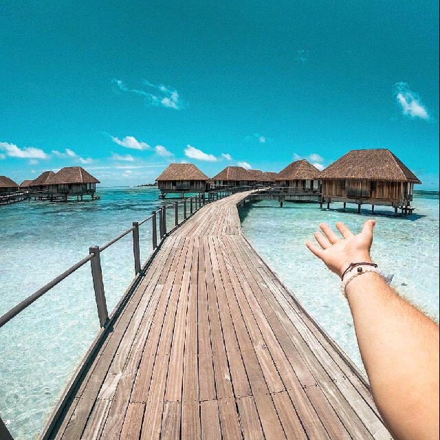 Gantengkontol10's profile picture. 