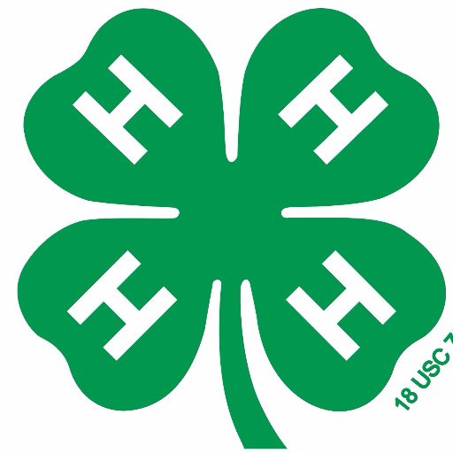 Wake County 4-H offers youth ages 5-18 the opportunity to explore and grow in leadership, civics, health, and STEM in staff- and volunteer-led programs.