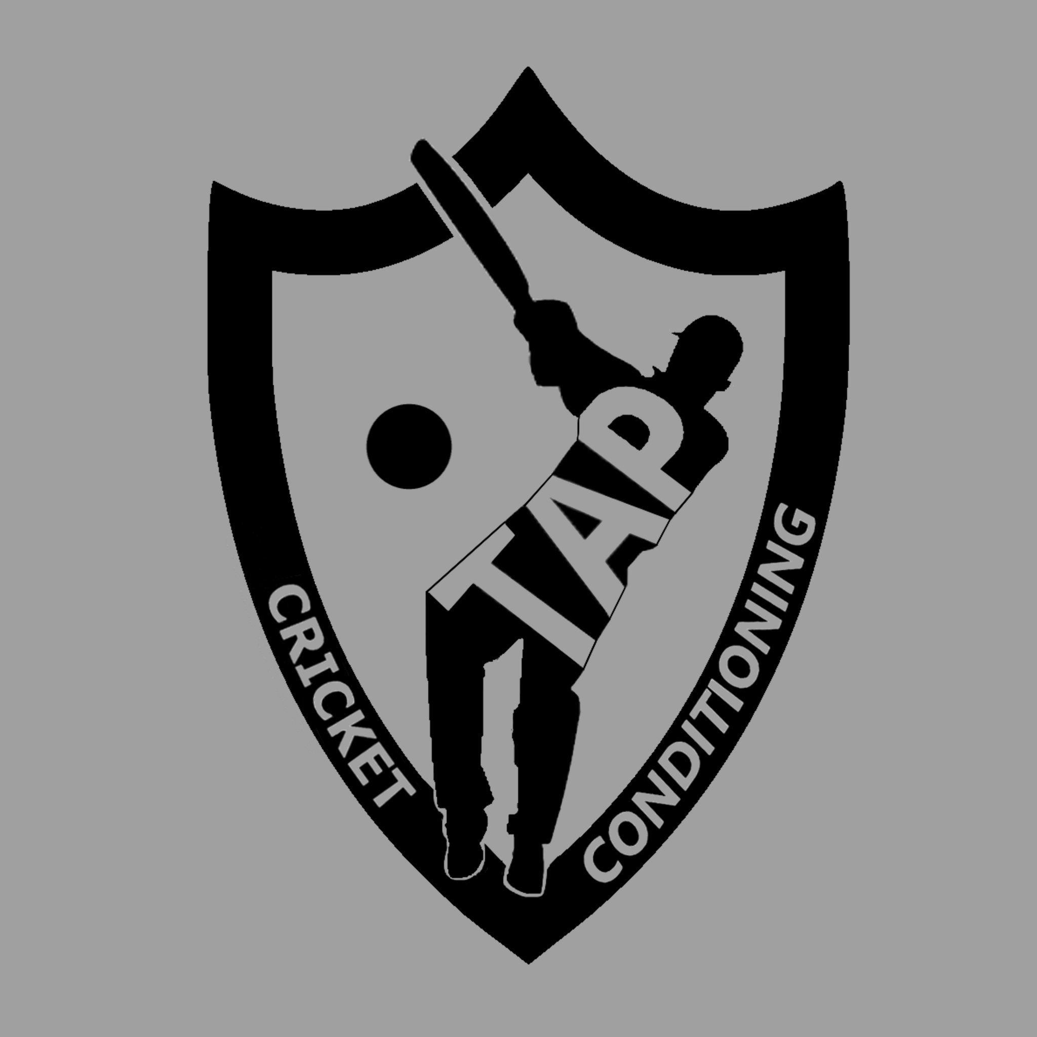 TAPCricket's profile picture. TAP Extreme Duty Weighted Balls, as used by Julian Wood's Power Hitting System.