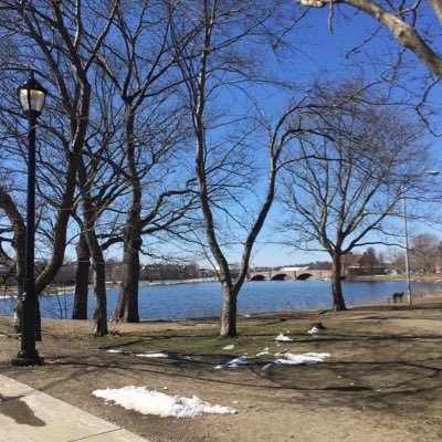 iaa_jjaf's profile picture. 