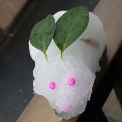 matukiti0803's profile picture. まつんです。七年ぶりに使います。つづくかな？