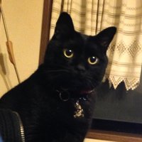 くうP (@kuupee_p) 's Twitter Profile Photo くうP (@kuupee_p) 's Twitter Profile Photo