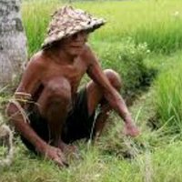 बुद्धिमान (@kakaadikdede) 's Twitter Profile