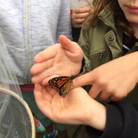 Tannis Williams (@tannis_tdw4) 's Twitter Profile