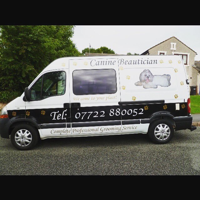 elaineevans66's profile picture. Lively personality, fun outgoing, married with 2 children and have a mobile dog grooming business.