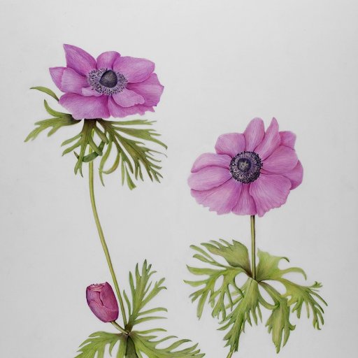 mjgalleries's profile picture. Writer, teacher & professional award-winning artist offering high-quality paintings, photographs and one of a kind monotypes. All rights reserved ©