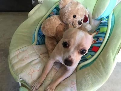 Me_andtheworld's profile picture. 