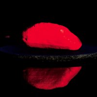 davesnewbike (@davesnewbike) 's Twitter Profile Photo