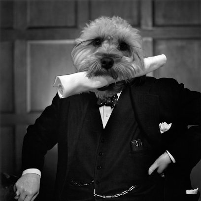 DanielHarbison's profile picture. 