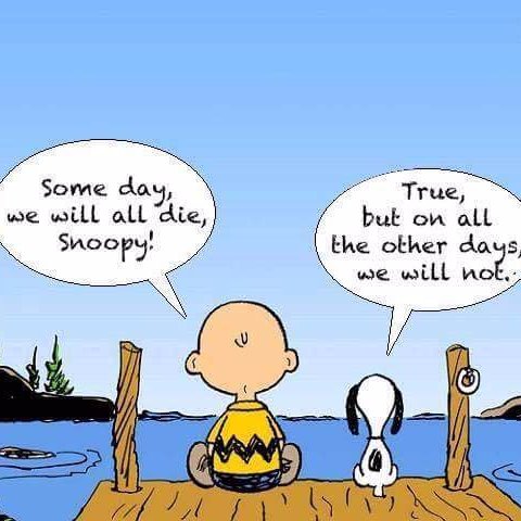 cryptotrektimes's profile picture. amateur trader..