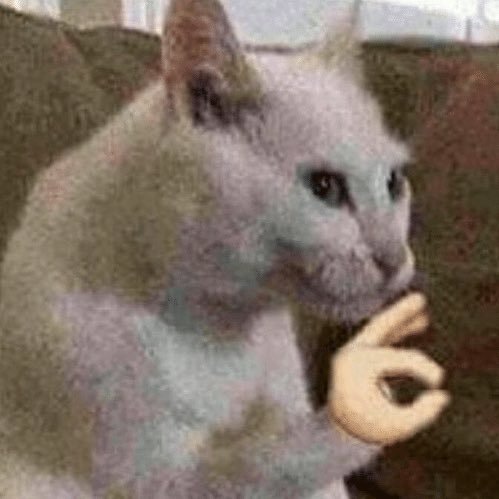 SamH3176's profile picture. 