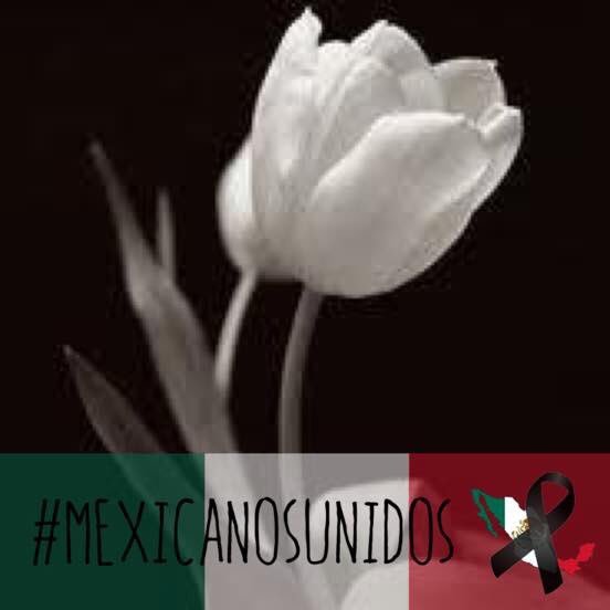 La única manera de hacer crecer a un país es la unidad y la democracia #MéxicoUnido #ElINENoSeToca #ElINAINoSeToca