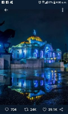 EugeniaAlmeidaL's profile picture. Mexicana avergonzada de sus políticos.