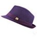 PurpleHat (@crypt0money) Twitter profile photo PurpleHat (@crypt0money) Twitter profile photo