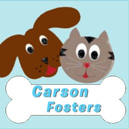 Carson Fosters finds foster homes 4 dogs in Carson Shelter, Gardena, CA. If you are local, visit https://t.co/B2M2OW9f3r to complete our online application. TU!