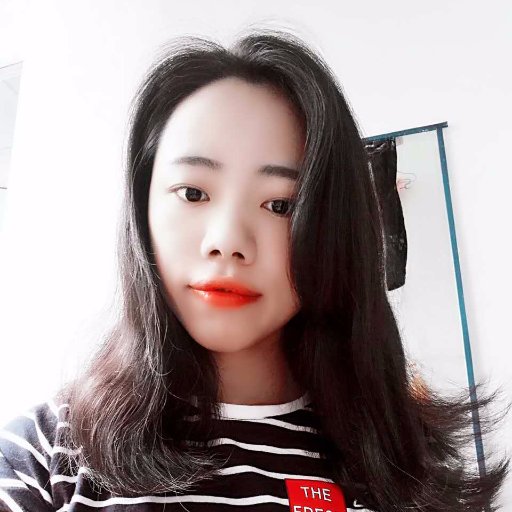 MIFOAnne's profile picture. Sichuan MiFo Technology Co., Ltd is a specialized PVC Mesh Fabric manufacturer. We specialize in manufacturing PVC Mesh Fabric in China for several decades.