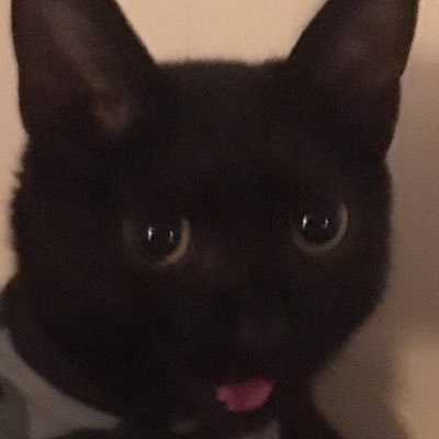 JoeMejia66's profile picture. 