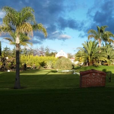 liz11124ever's profile picture. 