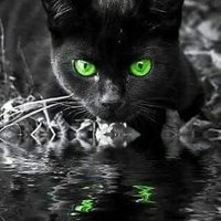 Nancy Dolman🌊🌊🌊👻👻🎃🎃🍁🍁🕸️🕸️ (@nancydolman) 's Twitter Profile