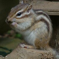 yso (@hgk0907) 's Twitter Profile