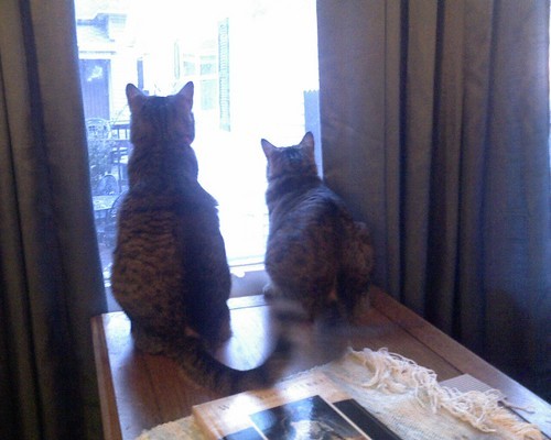 Lieslmick's profile picture. 