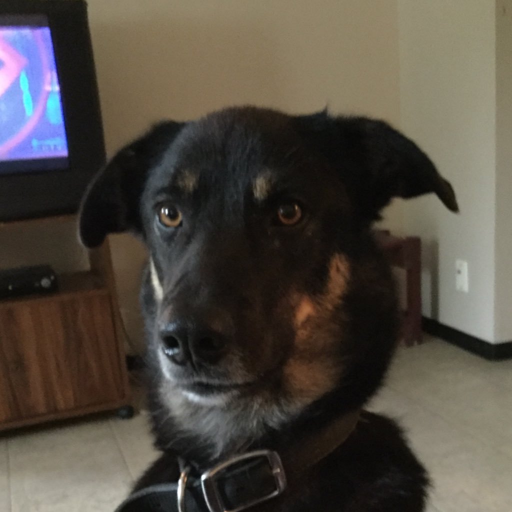 jaxtrux7's profile picture. 