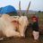 dokerajeshwar11's profile image