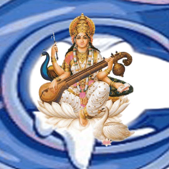 IndiancomputerE's profile picture. 