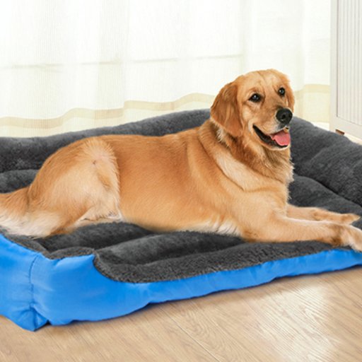 Dogbedsstore's profile picture. Best Dog Beds