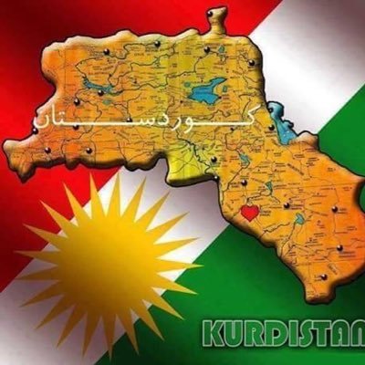 tayeb73924188's profile picture. 