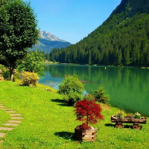 DeigoValentino's profile picture. 😄